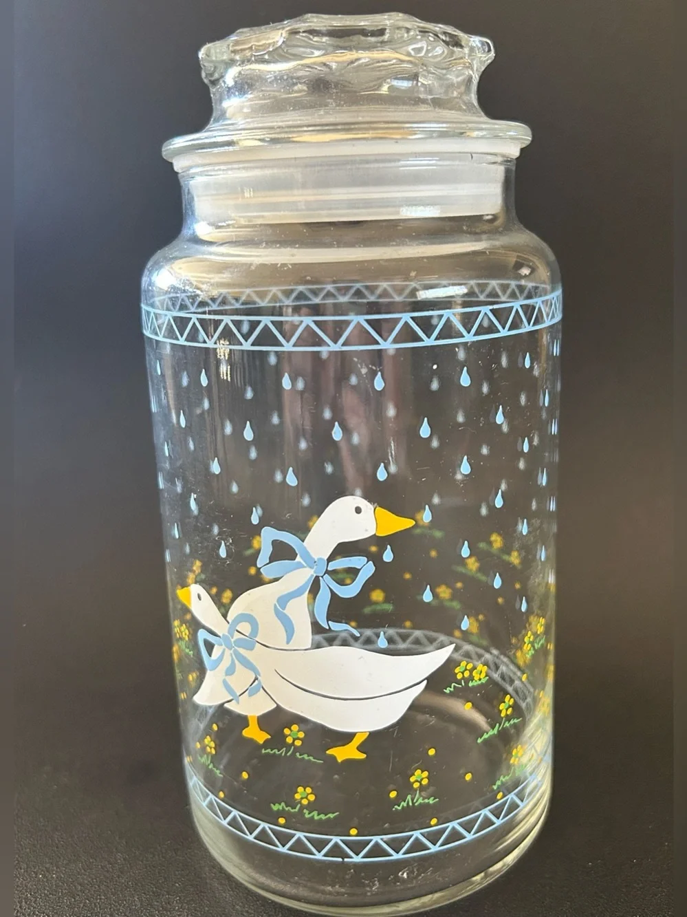 Cottage Core Clear Glass Storage Jar with White Duck Design - Blue Accents